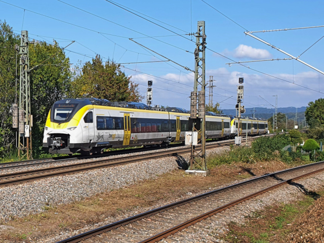 453 n�rdlich von Denzlingen 