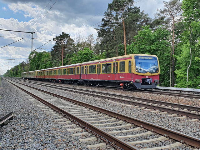 481 �Berlin, Grunewald
