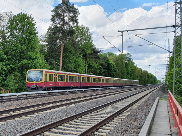 481  Berlin, Grunewald