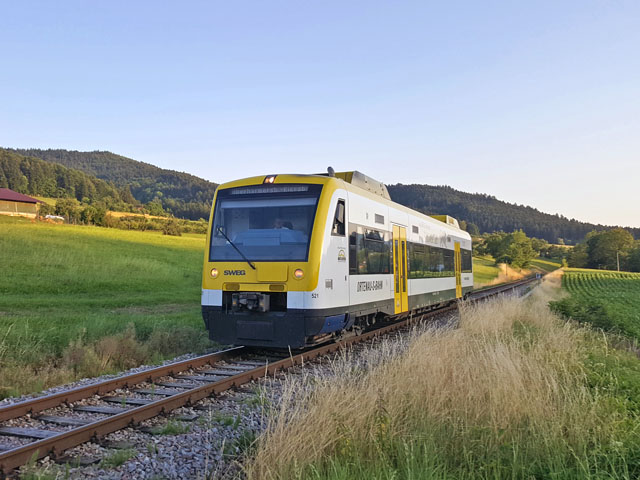 650  �stlich von Unterharmersbach