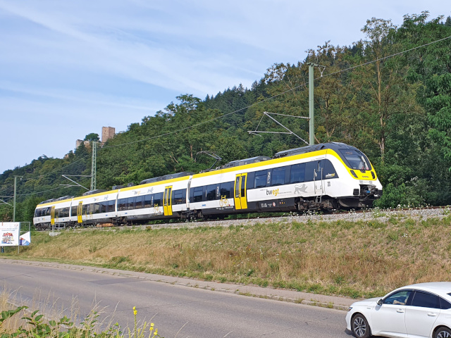 8442 in Waldkirch