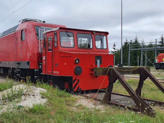 ASF beim Hafen-Bhf Rostock
