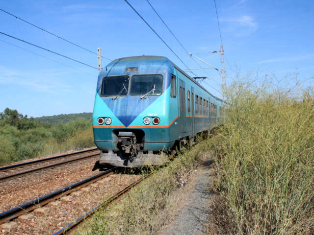 ZM zwischen Rabat und Sale